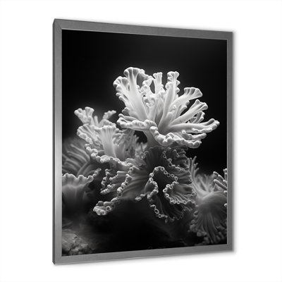 «Black and White Coral Anemone Kingdom», reproduction d'art sur toile plage et océan