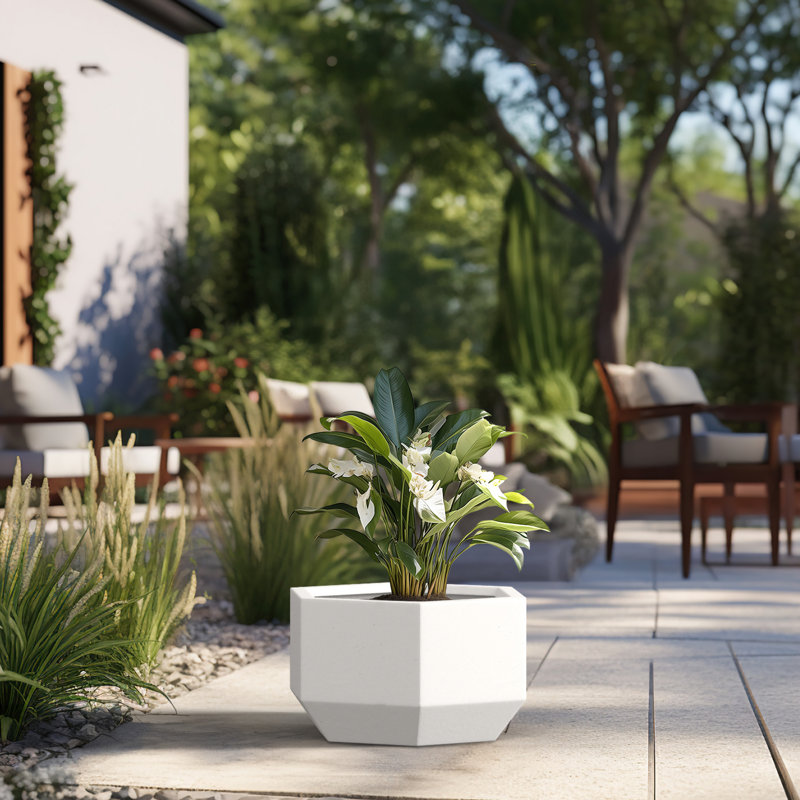 Jardinière Armontae, H 8 po x l 14 po x P 12 po, Blanc frais