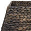 Water Hyacinth Tree Collar