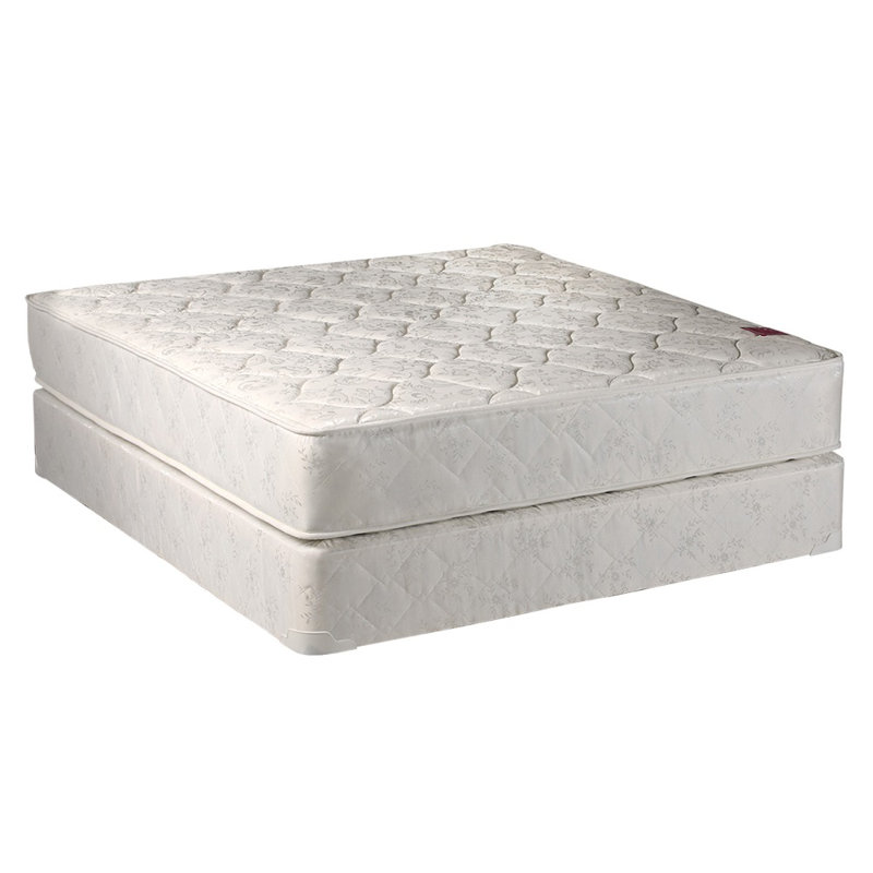 Mier Gentle Firm Mattress And Box Spring Set - Fully Assembled, Good For Your Back, Longlasting Comfort - One Sided - None Flip By Alwyn Home
