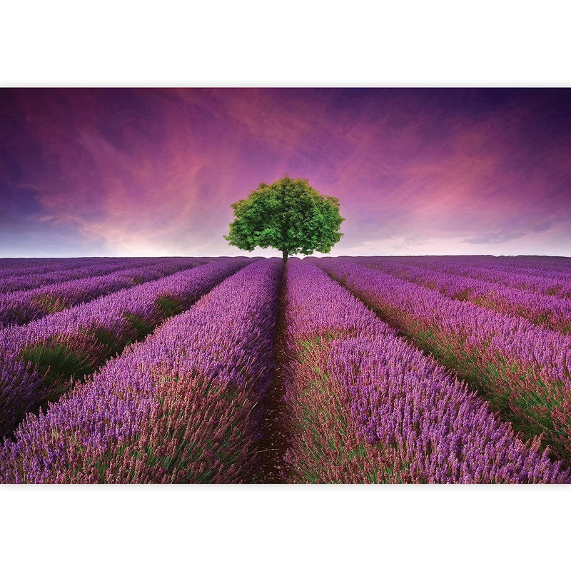 Peel & Stick Border, 100" L x 144" W