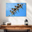 Hungry Baby Swallow Birds-1348673219