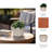 Planter Pottery Terracotta Raised-Dot Textured Rim Sculpted Detailing Handcrafted Design Rustic Decorative Accent Planter Pot Ideal for Indoor Outdoor Decor and Botanical Display Spaces-1420647876