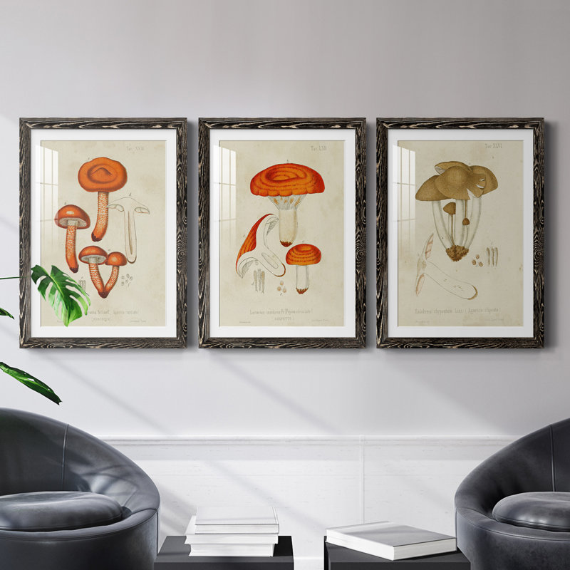 Champignon Variétés IV encadré mat - prêt à accrocher, H 20 po x l 51 po x P 1,5 po, Noir