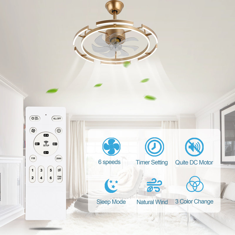 Olamide 24" DIY Shape Adjustable Ceiling Fan with Lights Remote and APP Control, Gold