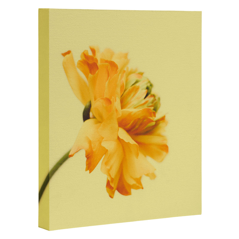 Profile, impression sur toile tendue, H 30 po x l 24 po x P 1,5 po