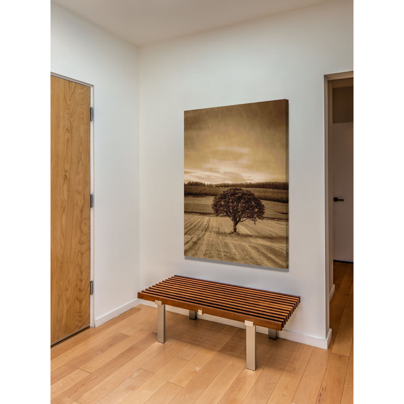 Lone Tree At Sunset by Don Schwartz - Wrapped Canvas Print, 152cm H x 102cm W x 4cm D