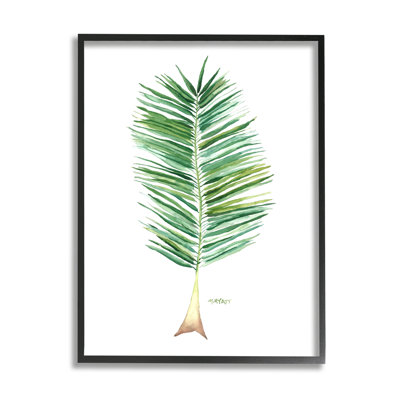 Verdure de cocotier sur fond blanc