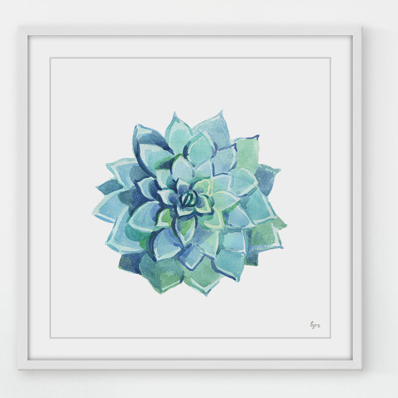 « echeveria blue star », reproduction de peinture à l’aquarelle encadrée, H 18 po x l 18 po x P 1,5 po