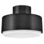 Hinkley Cedric Semi-Flush Mount-552078919