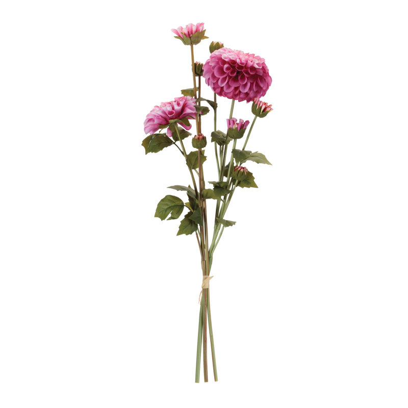 Ensemble de fleurs Zinnia (ensemble de 2), Rose