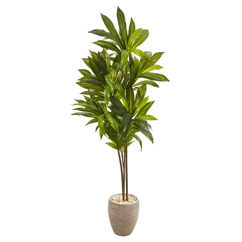 Arbre dracaena artificiel 55,5 po en pot