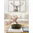 Cherry Blossom Bonsai Tree
