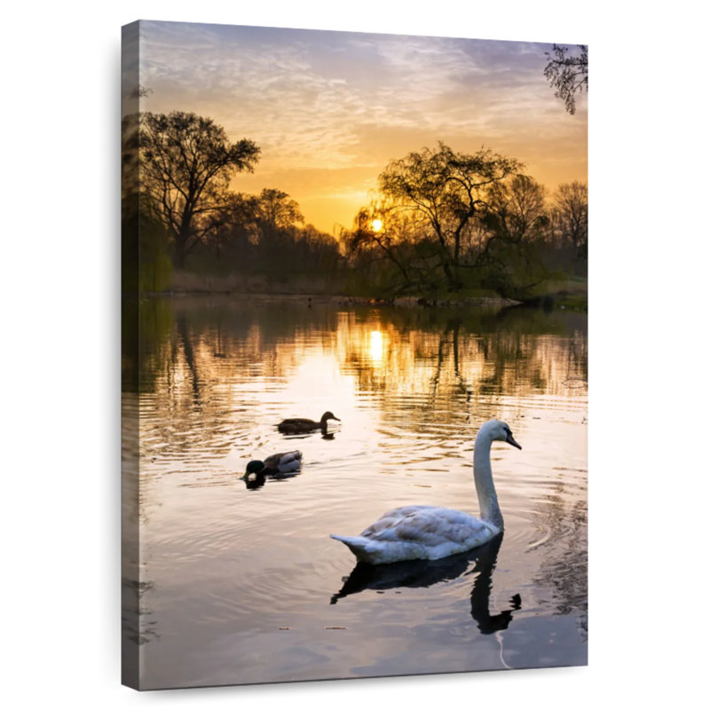 Cygnes Brampt Vondelpark au lever du soleil, H 48 po x l 32 po