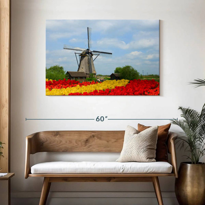 Tulipes Alvord, H 30 po x l 45 po
