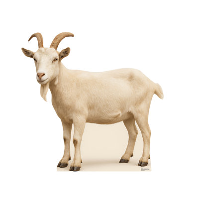 Chèvre