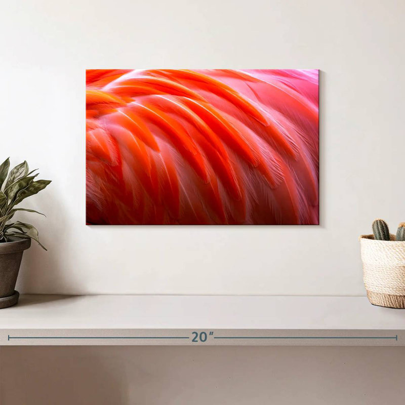 Plumes de flamant rose vif Brampt, H 8 po x l 12 po