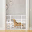 Metal Free Standing Pet Gate