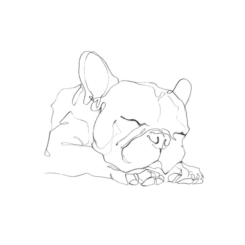 French Bulldog Shape II by Ethan Harper - Wrapped Canvas Painting, 30.48 cm H x 30.48 cm W