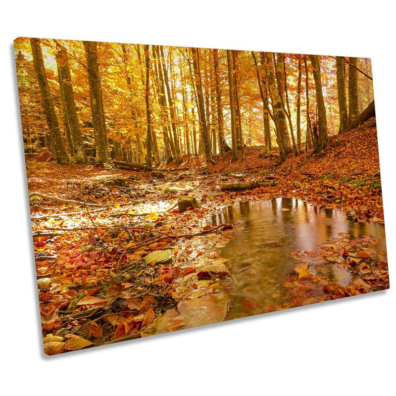 Autumn Forest Woodland - Wrapped Canvas Print, 61cm H x 91.4cm W x 4cm D