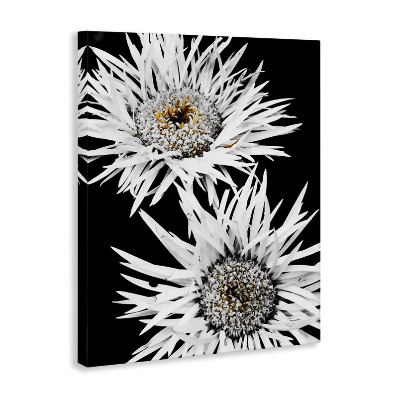 «Bold Contrast Flower Buds», art mural sur toile par Heidi Bannon, H 48 po x l 36 po