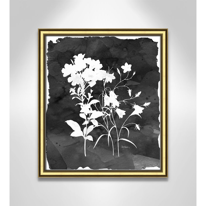 «Black Botanical II» par Carol Robinson - reproduction de photo sur papier encadrée, H 16,25 po x l 14,25 po x P 0,88 po
