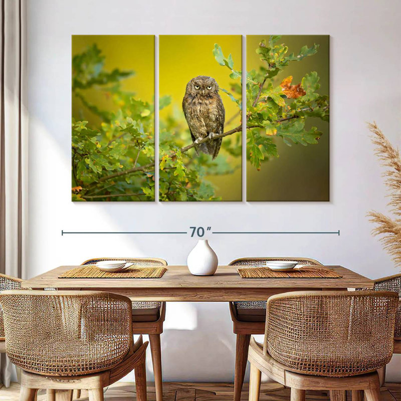 Hibou des marais perché sur un arbre, H 42 po x l 65 po