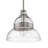 1 - Light Single Pendant-1221878096