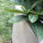 Gethsemane Planter-739827910-753052651