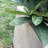 Gethsemane Planter-753052648-739827910
