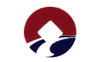 Dazone logo