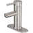 Brushed Nickel