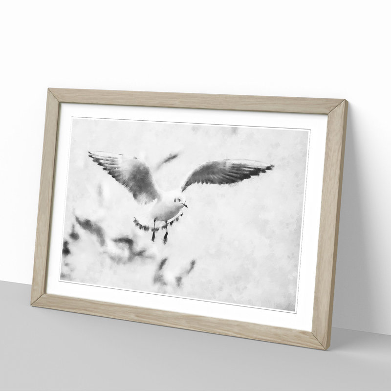 Seagull Birds - Picture Frame Graphic Art, Oak Framed, 36cm H x 48cm W x 2cm D