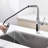 Single Handle Kitchen Faucet with Accessories-93486580