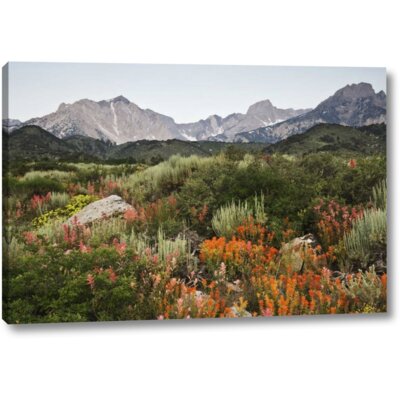 CA, Flowers Bloom in the Sierra Nevada Mountains' Photographic Print on Wrapped Canvas -  Winston Porter, A553C070CC0C4509954F27405C145441
