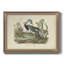 «Louisiana Heron» par John Audubon - peinture sur toile encadrée-52074617