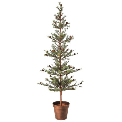 60 Potted Skip Pine Tree Wiith Cone