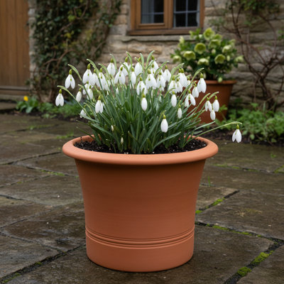Flared Planter