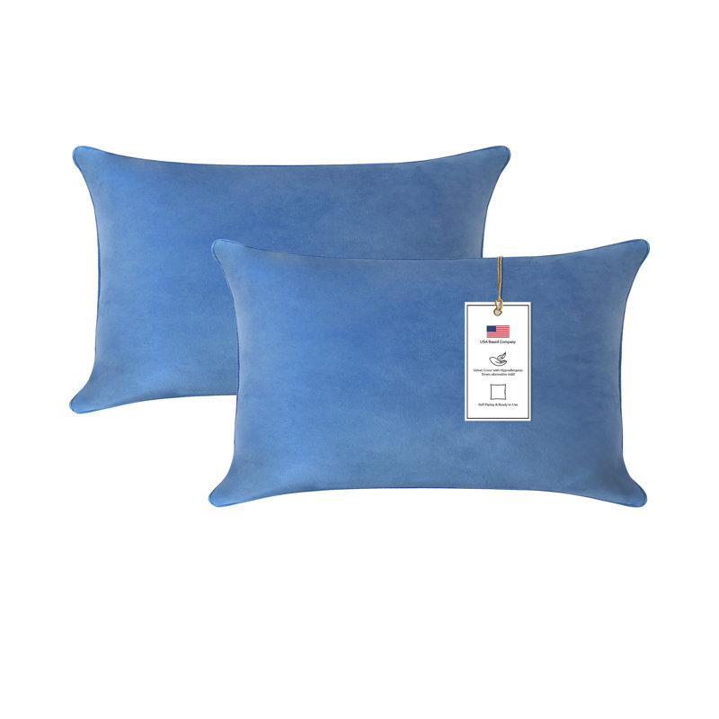 A1HC Velvet Down-Alternative Throw Pillow Inserts – Hypoallergenic, Ready-to-Use, Set of 2, Prussian Blue, 12'' H X 20'' W