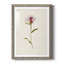 Mauve Garden Flowers VI - peinture encadrée-955008962-955008963