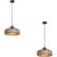 2 - Light Black Pendant
