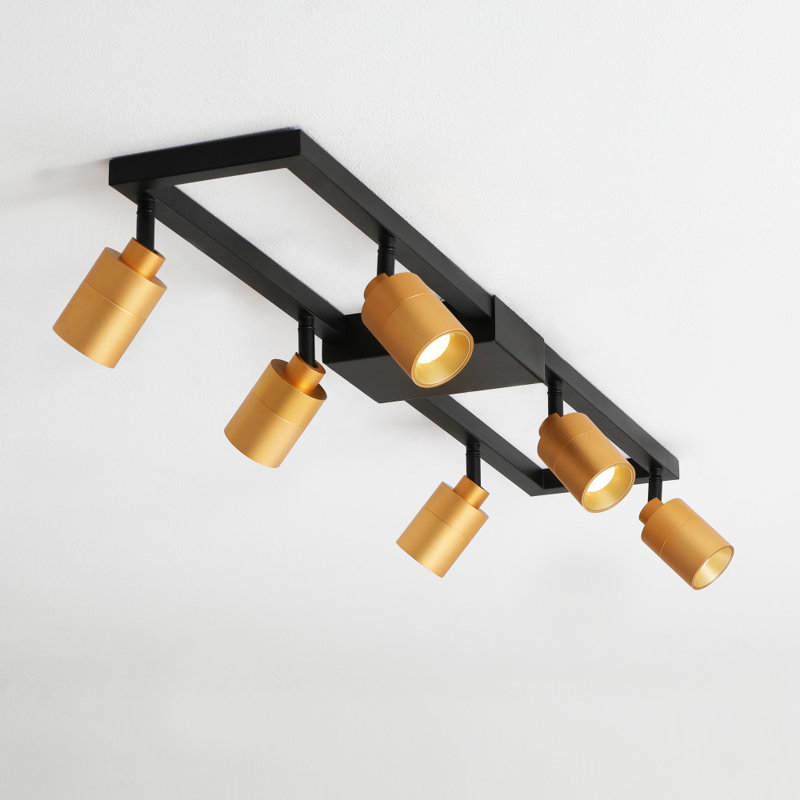Vidalite Black and Gold Iron Rectangle Semi Flush Mount