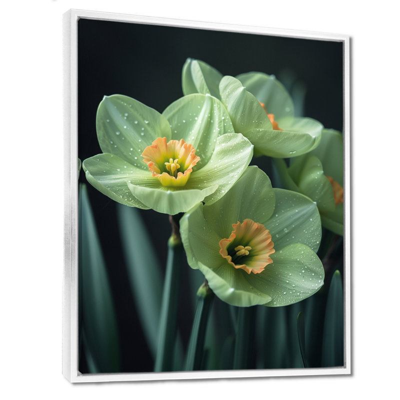 Monochromes jardin glamour jonquilles I - jonquilles murales salon, Cadre simple noir, H 34 po x l 44 po