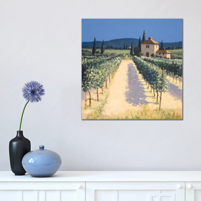 Vineyard Shadows - Wrapped Canvas Print