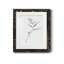 Croquis floral - reproduction de cadre photo sur papier-1362881717-1362881611