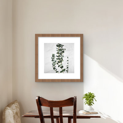 Eucalyptus Stems - Framed Matted Print for Bathroom Decor