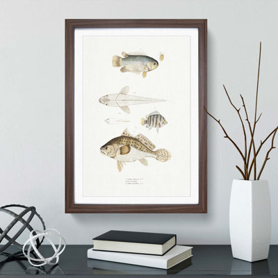 Assortment of Fish 1 Piece Single Picture Frame Painting