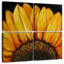 Tournesol Harnek-109164060