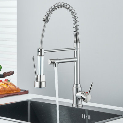 Belfry Kitchen Keenes Pull Down Kitchen Faucet