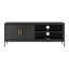 Ananio Unfinished TV Stand for TVs up to 65"